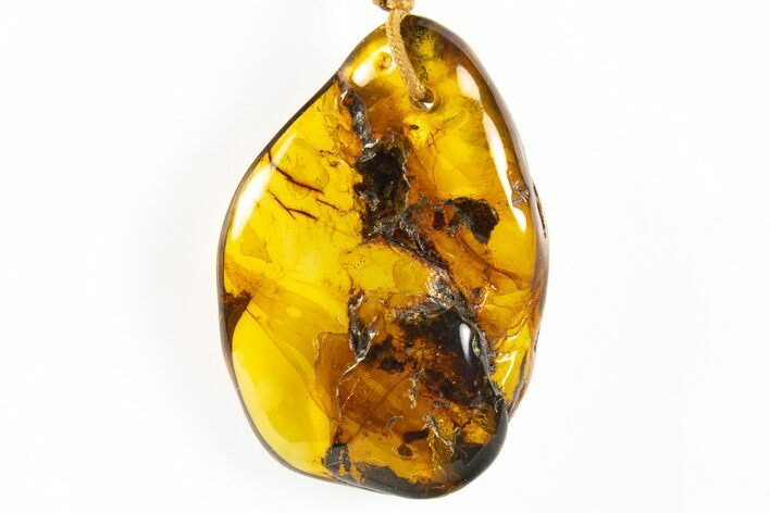 Polished Chiapas Amber ( g) Necklace - Mexico #304361